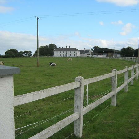 Castlehaven Donaghmore (Laois) Exterior photo