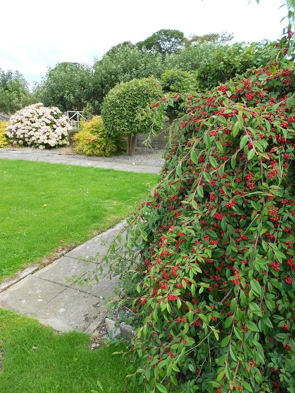 Castlehaven Donaghmore (Laois) Exterior photo